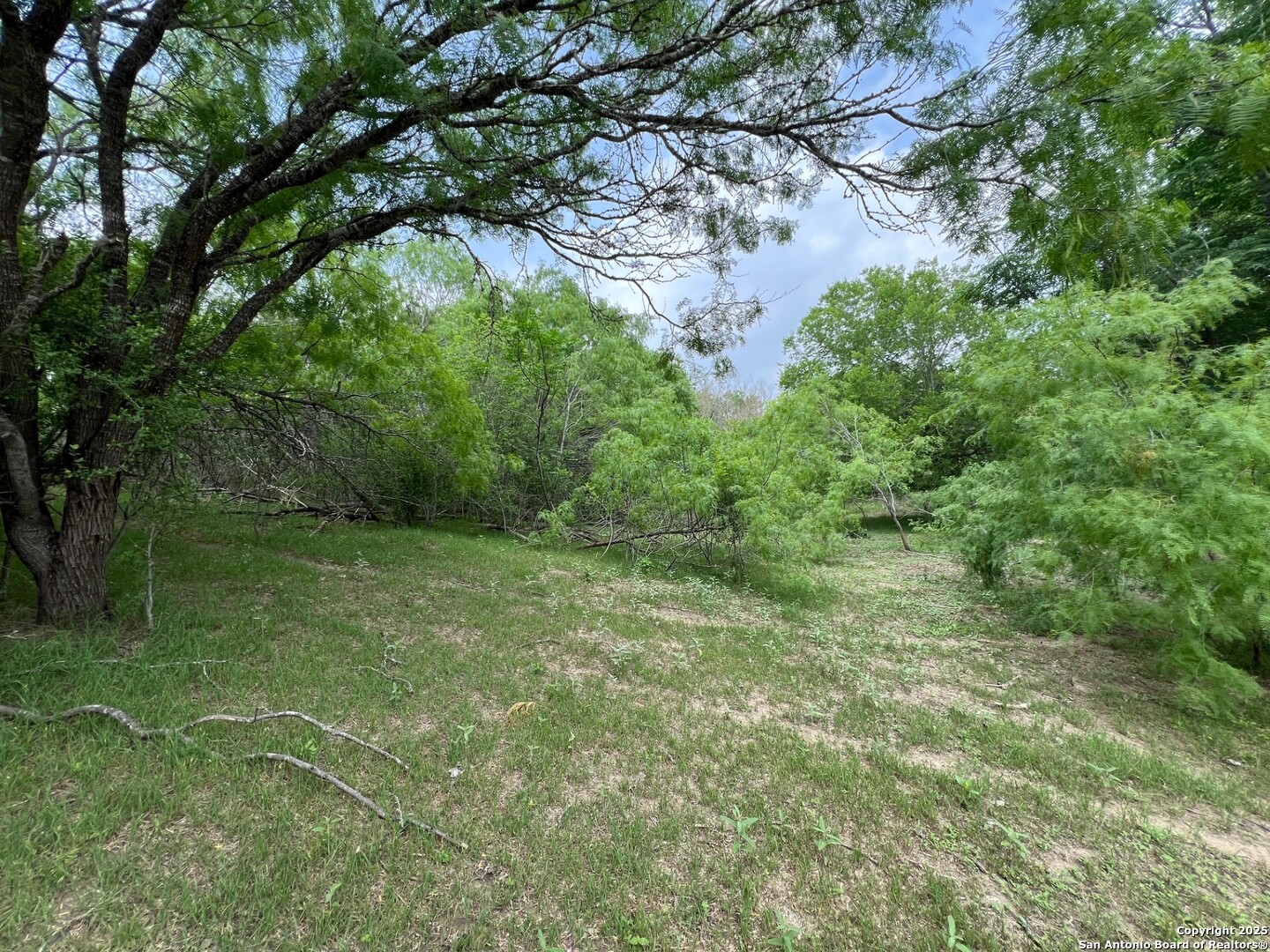 main property photo 9