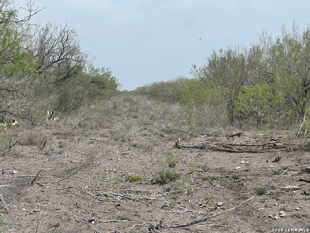 main property photo 10