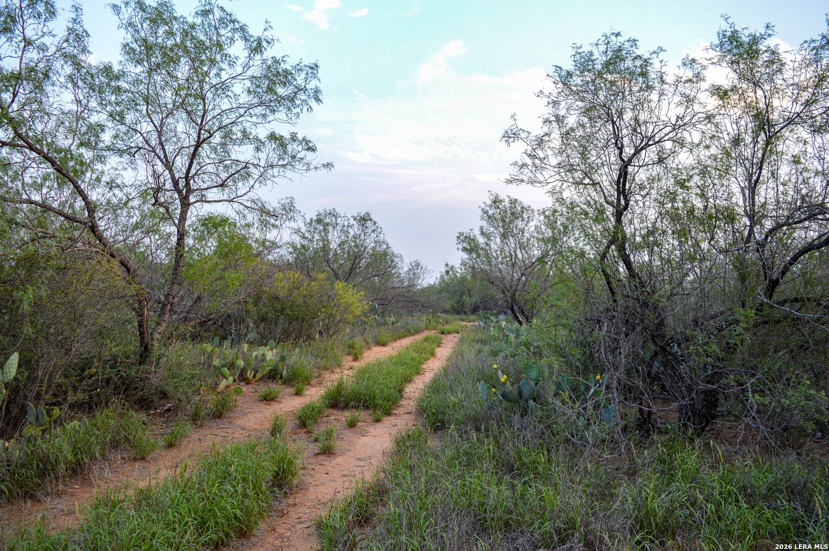 main property photo 40