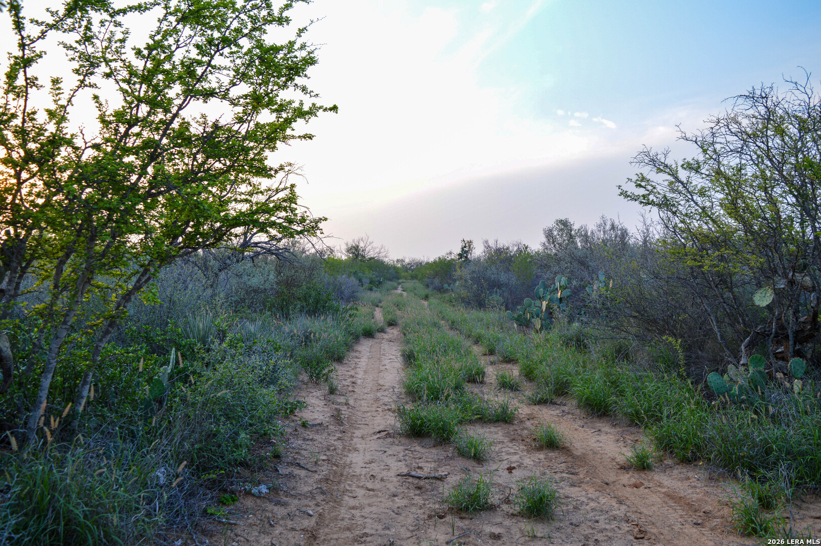main property photo 41