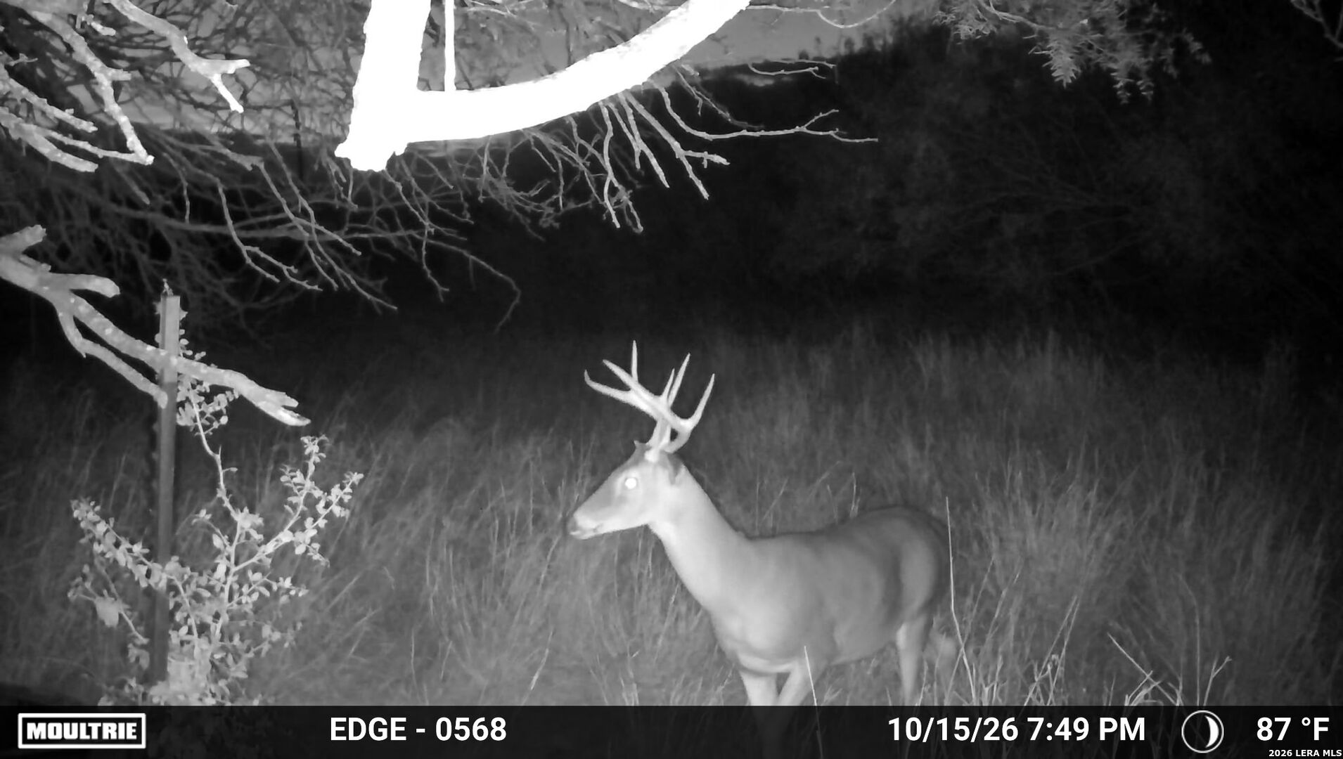 main property photo 50