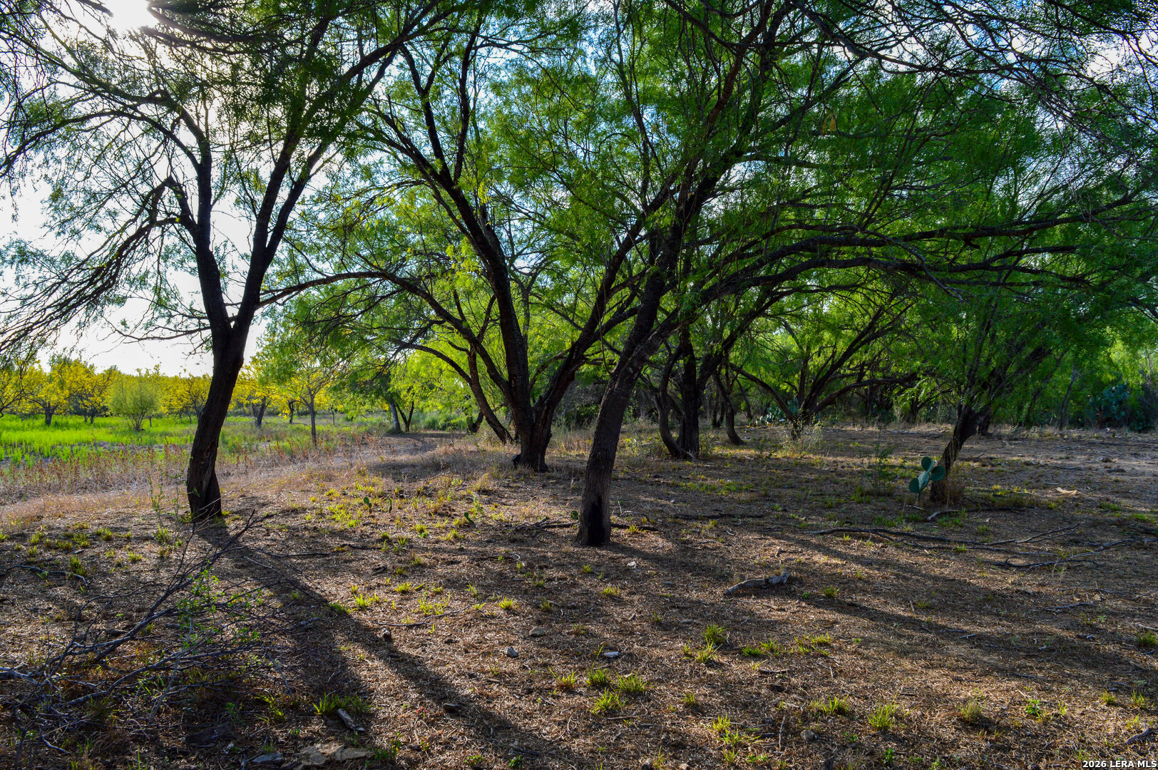 main property photo 52