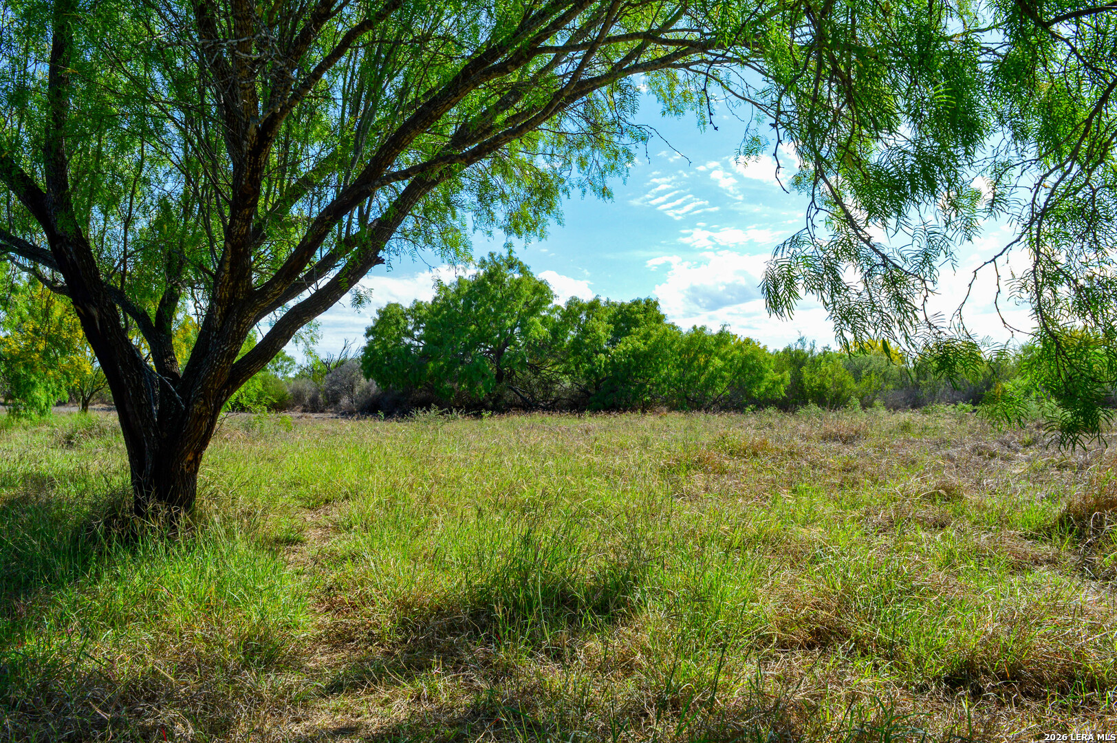main property photo 63