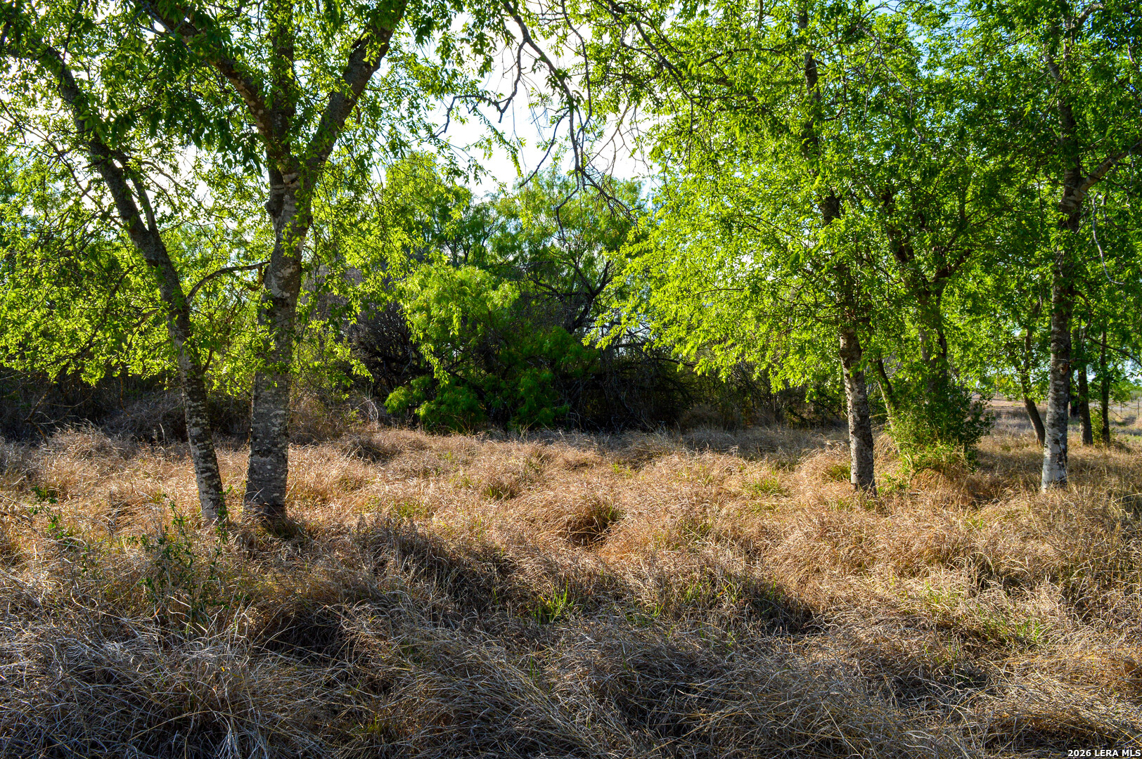 main property photo 71