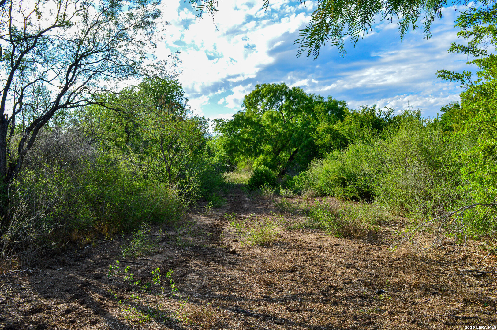 main property photo 74