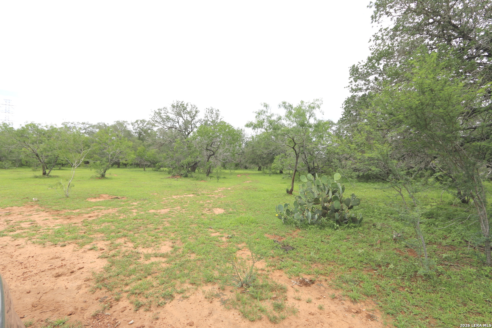main property photo 11