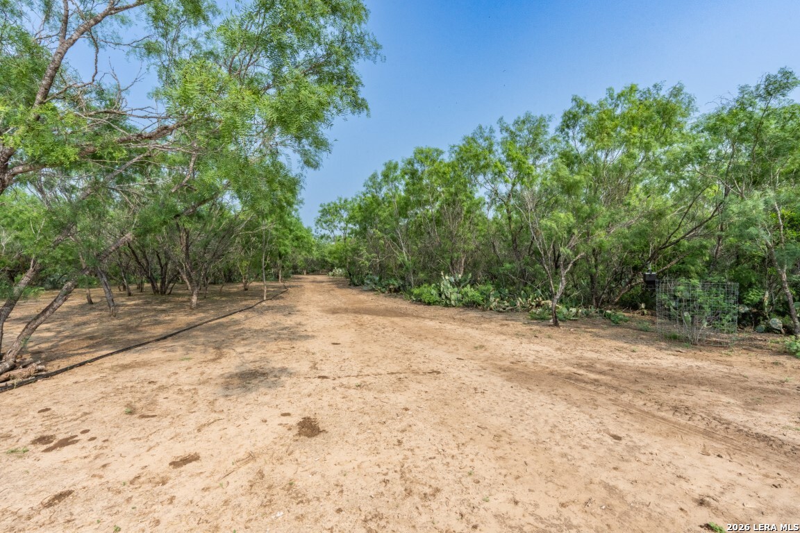 main property photo 40