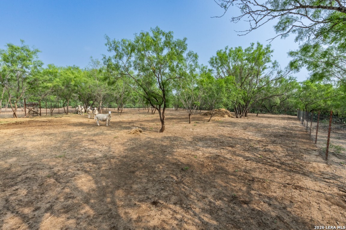 main property photo 8