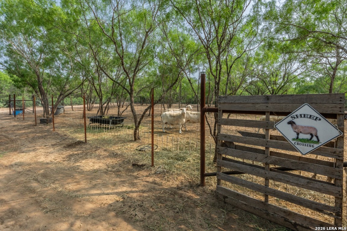 main property photo 9