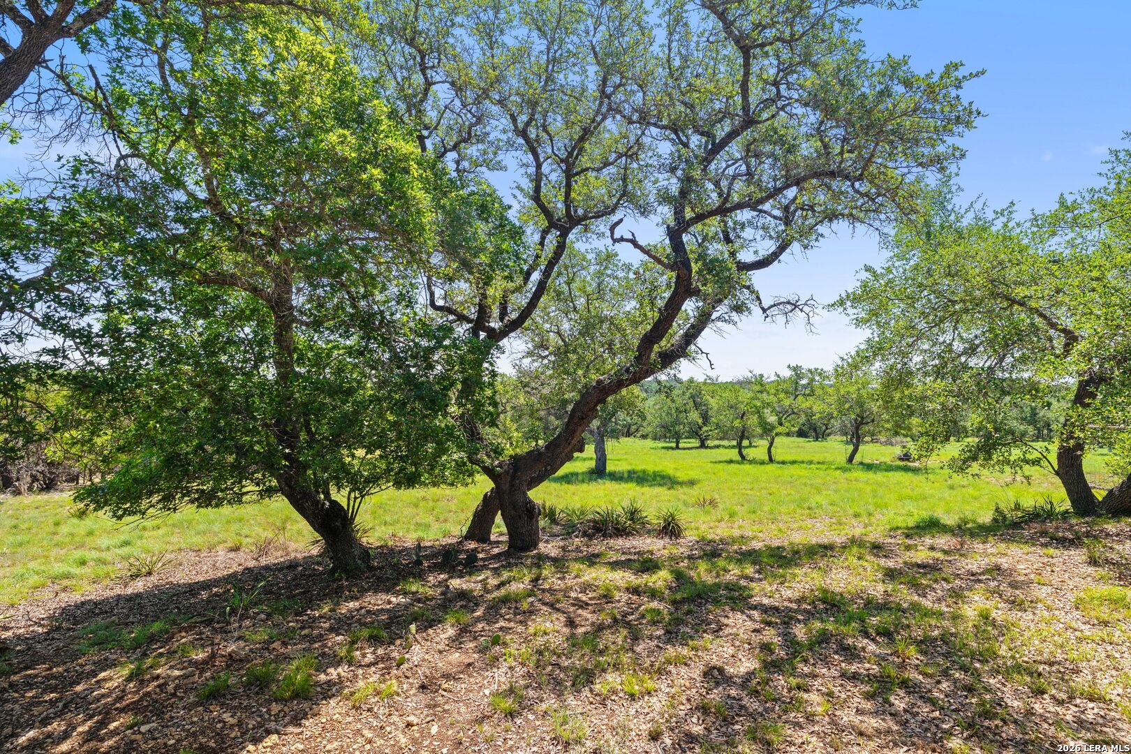 main property photo 47