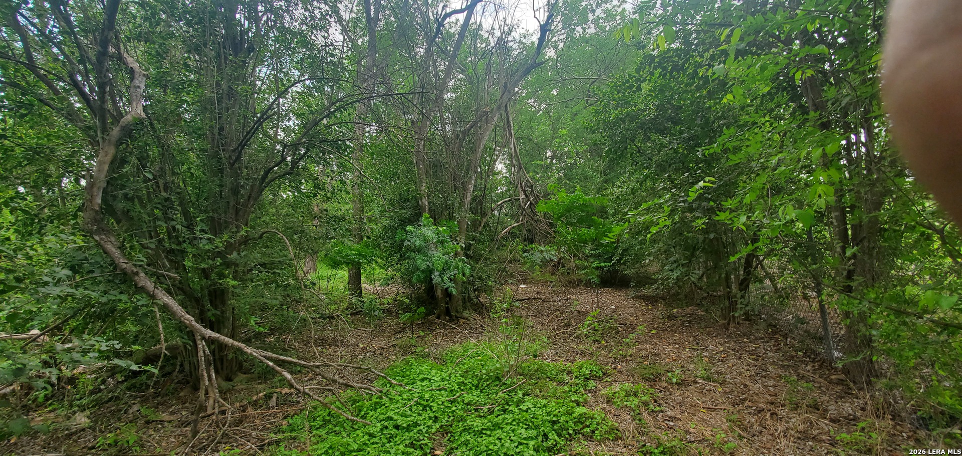 main property photo 10