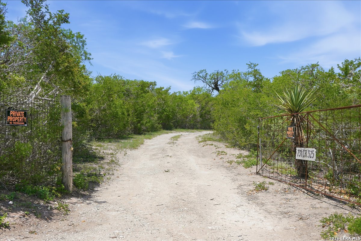 main property photo 33