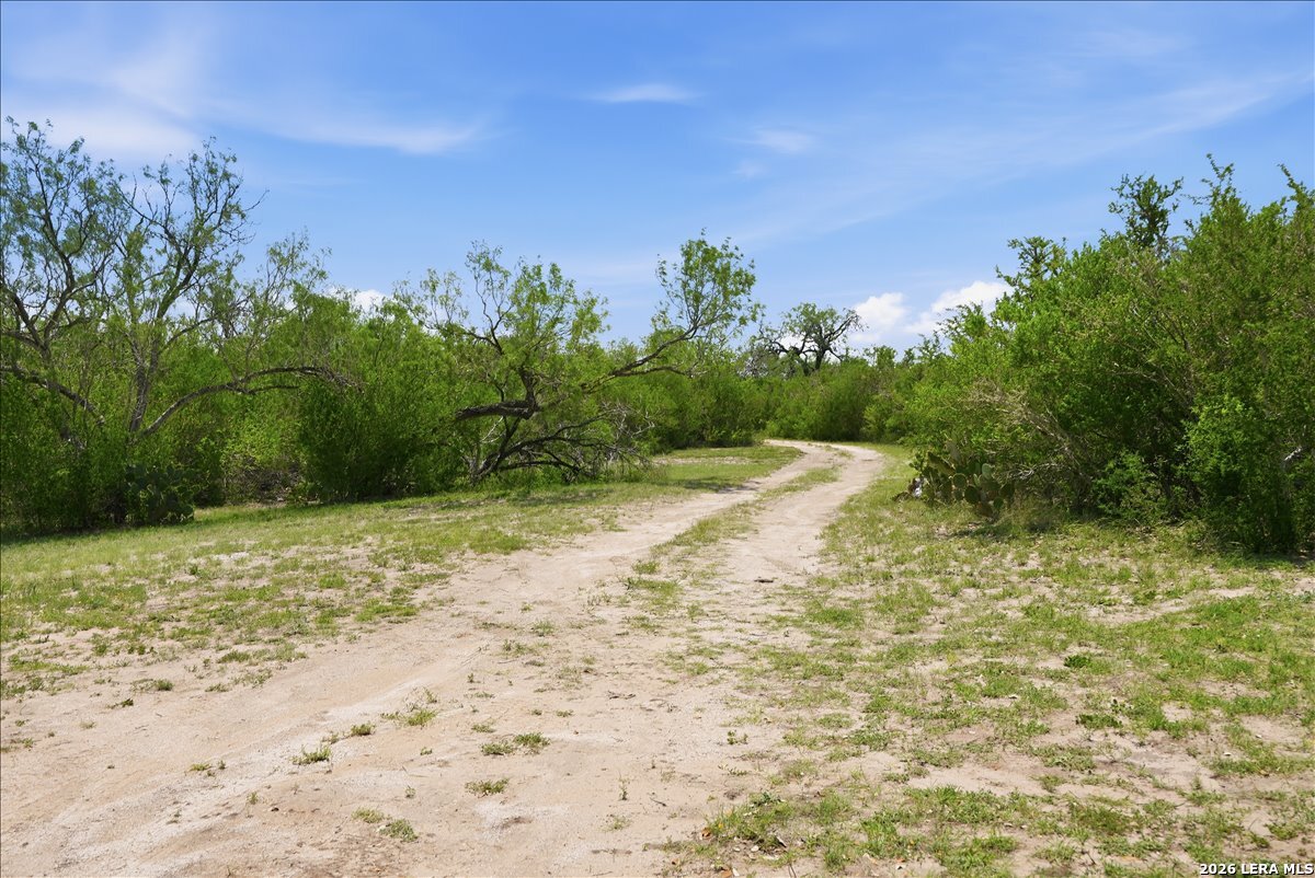 main property photo 39