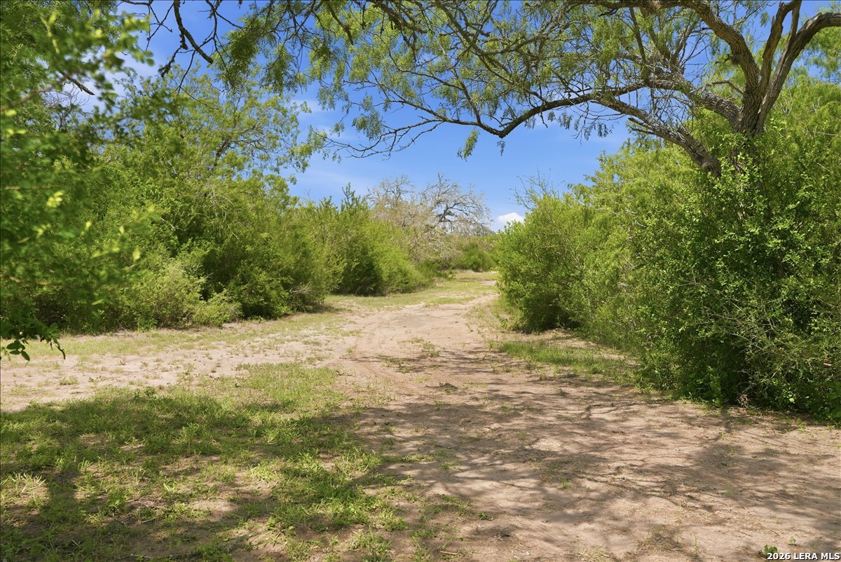 main property photo 40