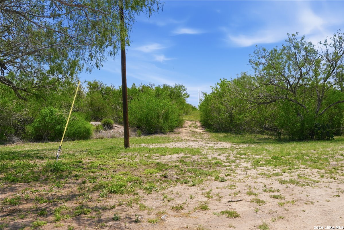 main property photo 42