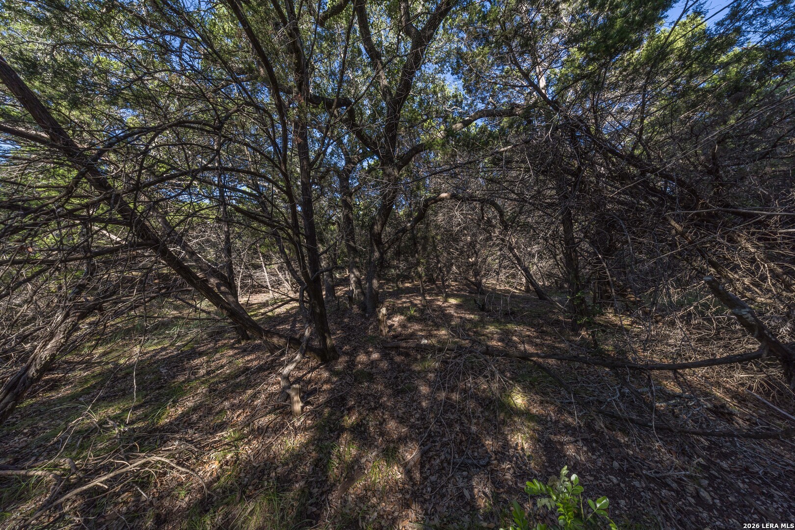main property photo 61