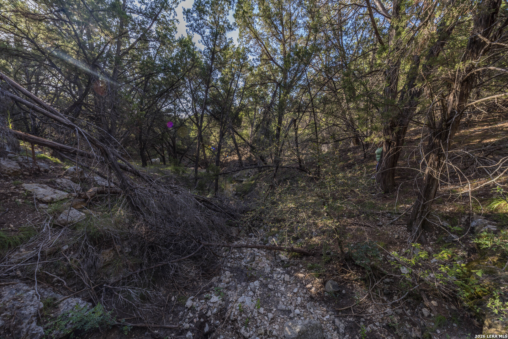 main property photo 65