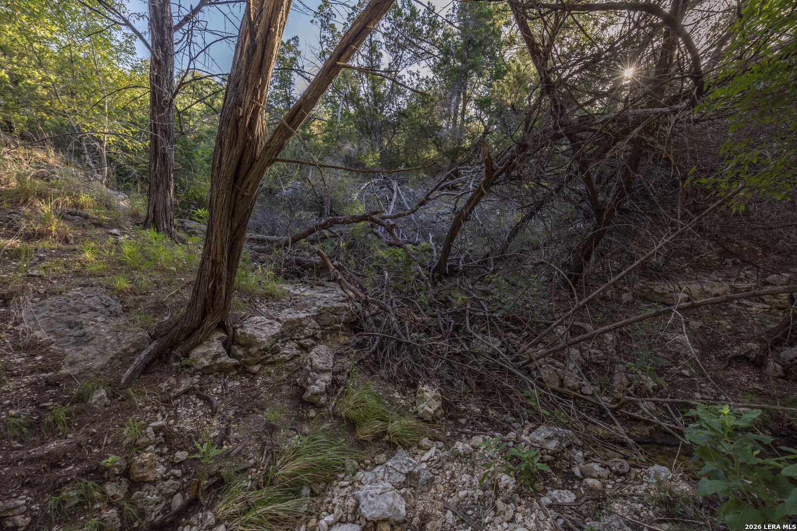 main property photo 68