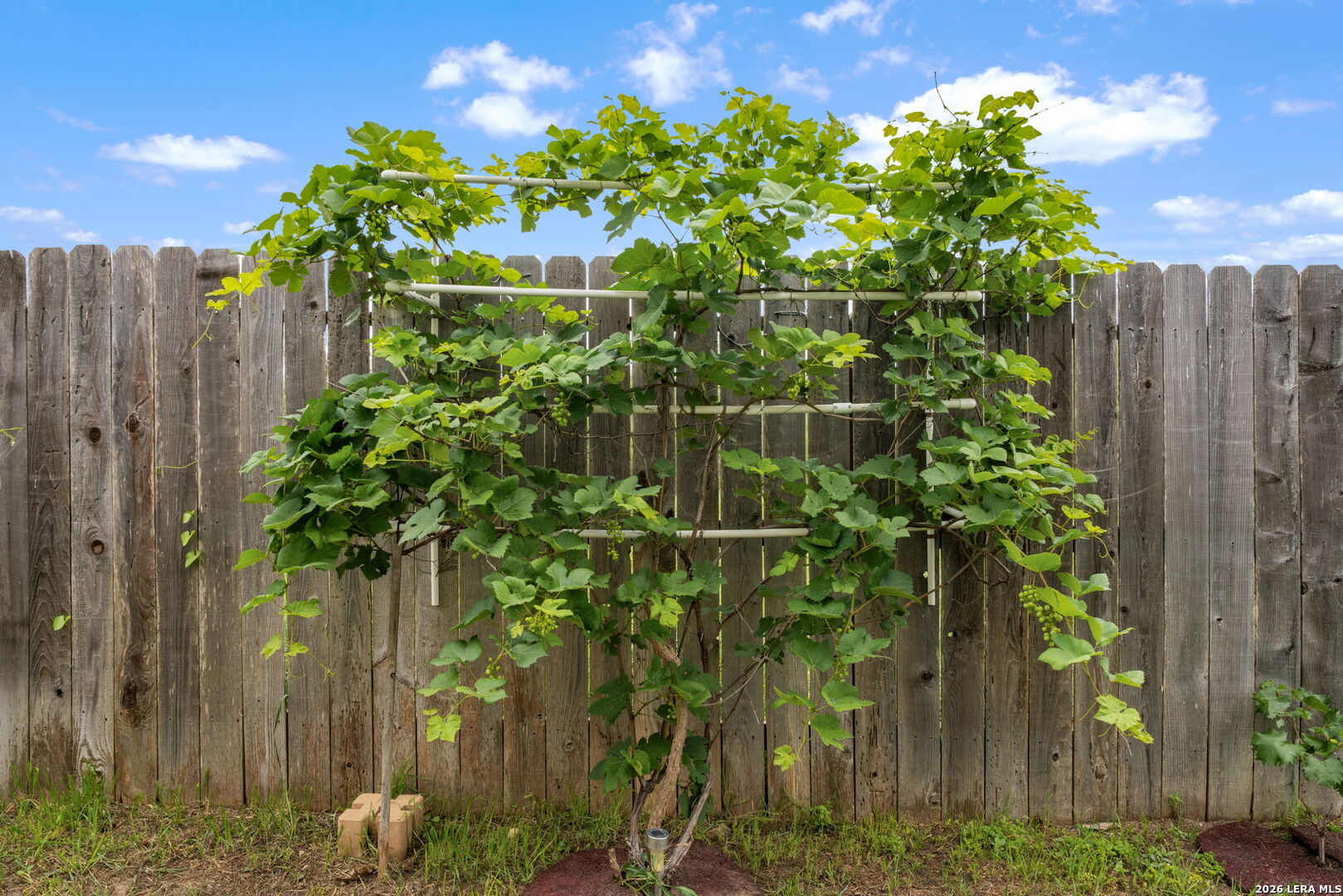 main property photo 19