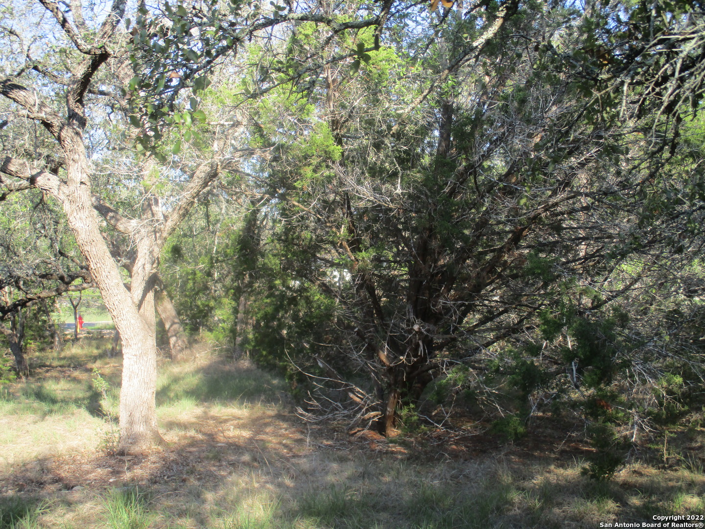 main property photo 10