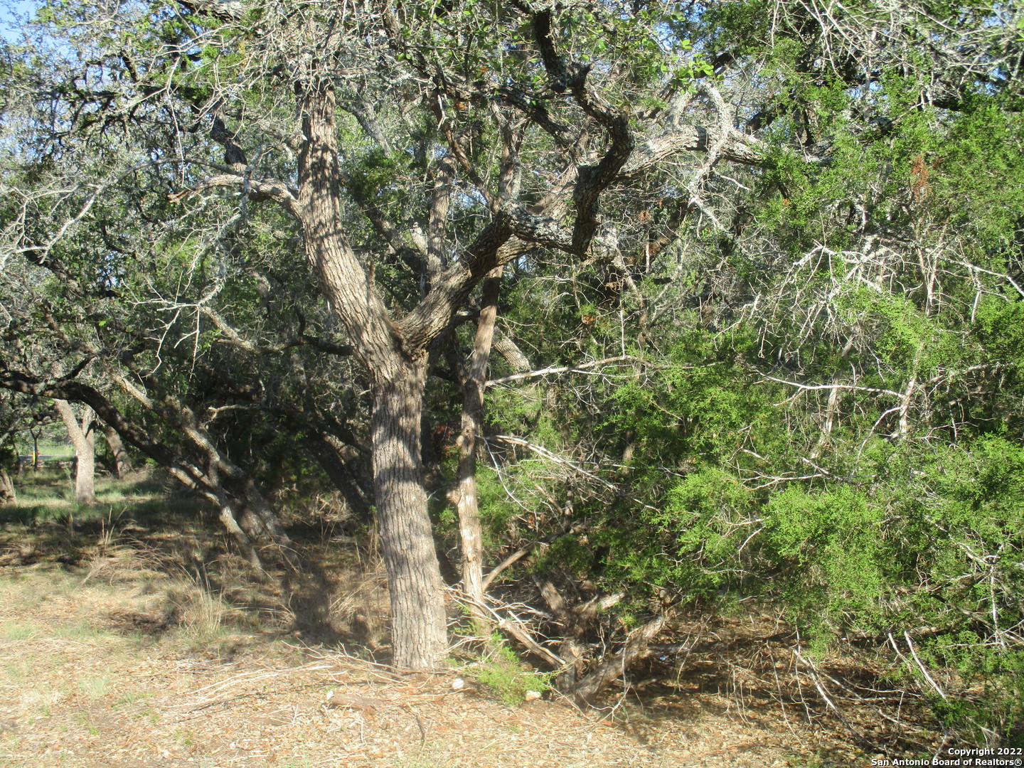 main property photo 12