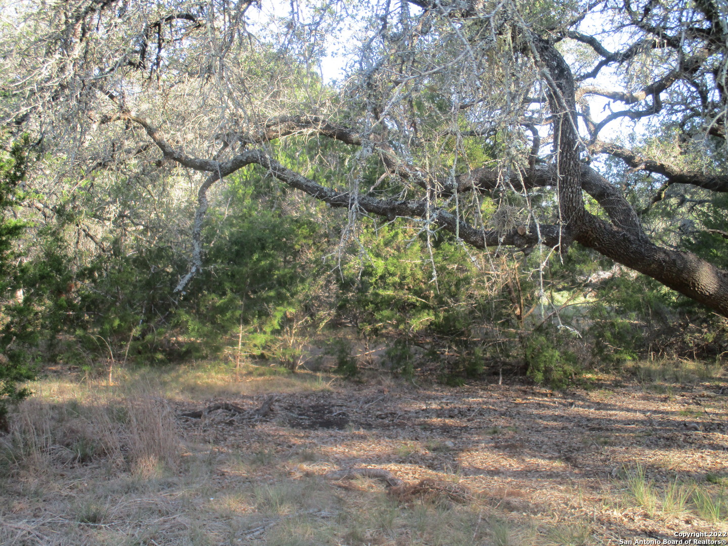 main property photo 13