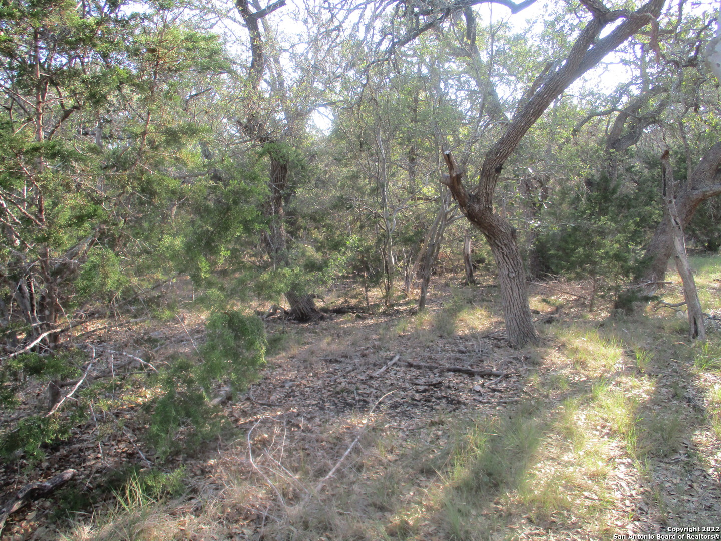 main property photo 7