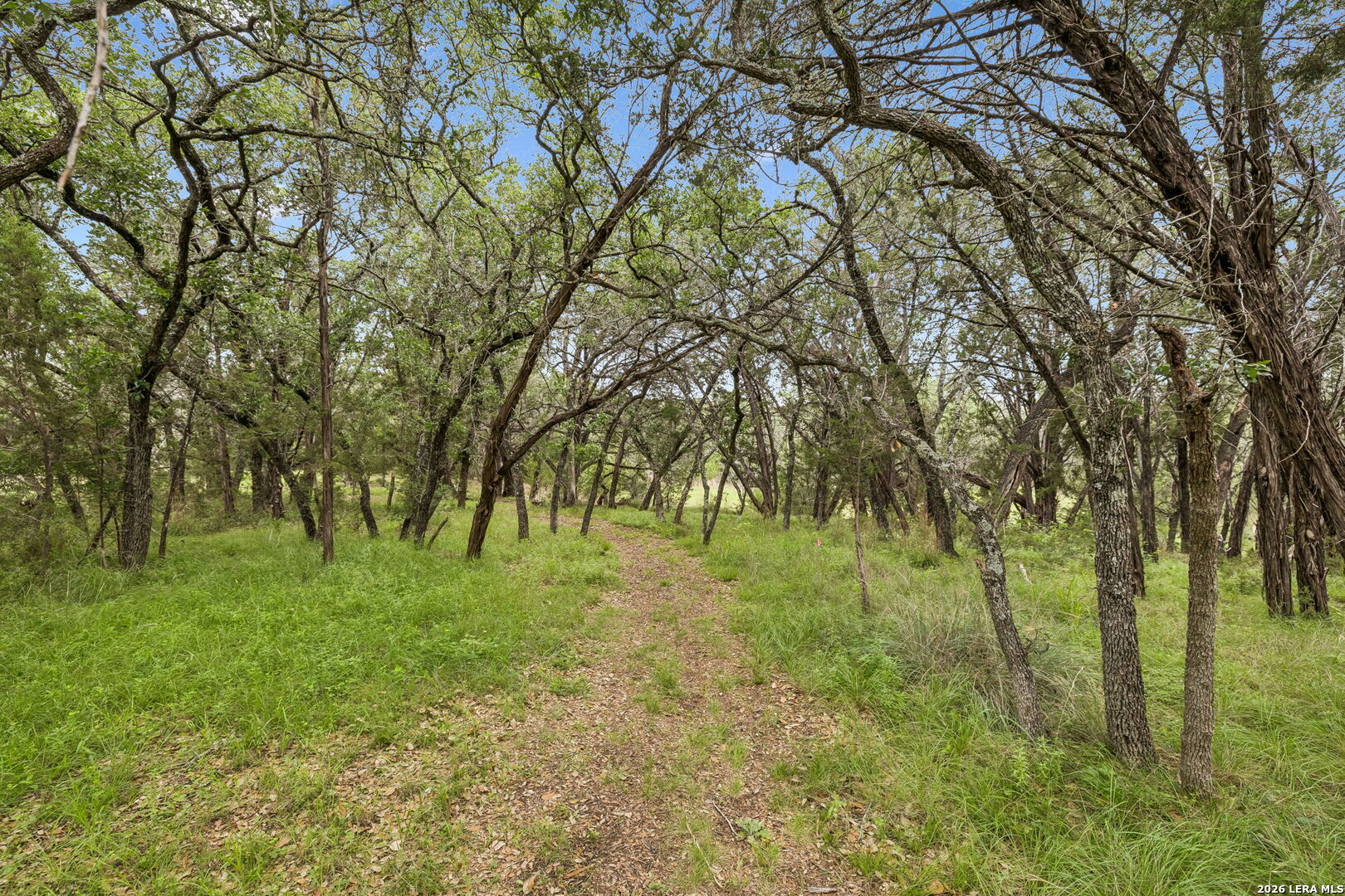 main property photo 37