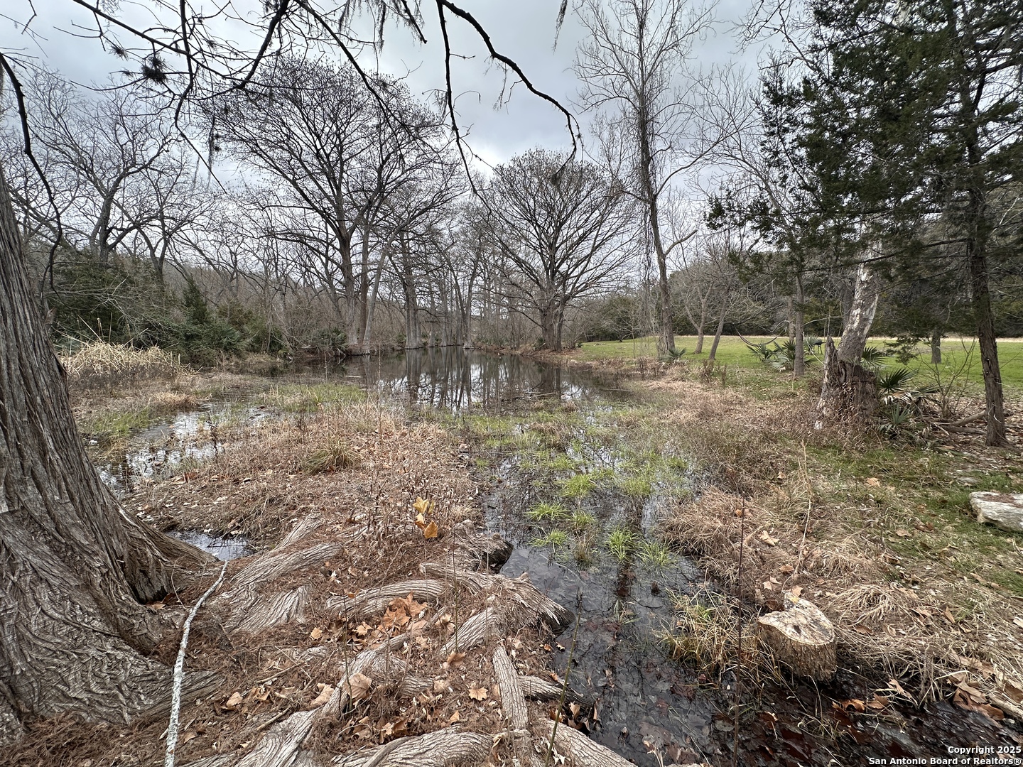 main property photo 12