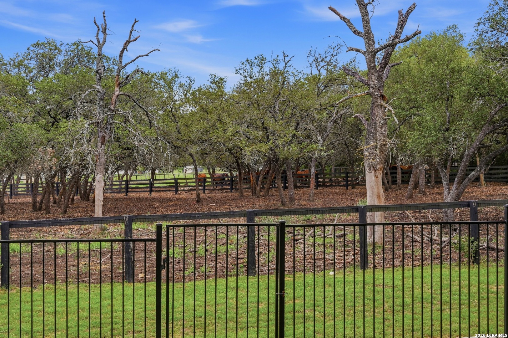main property photo 24