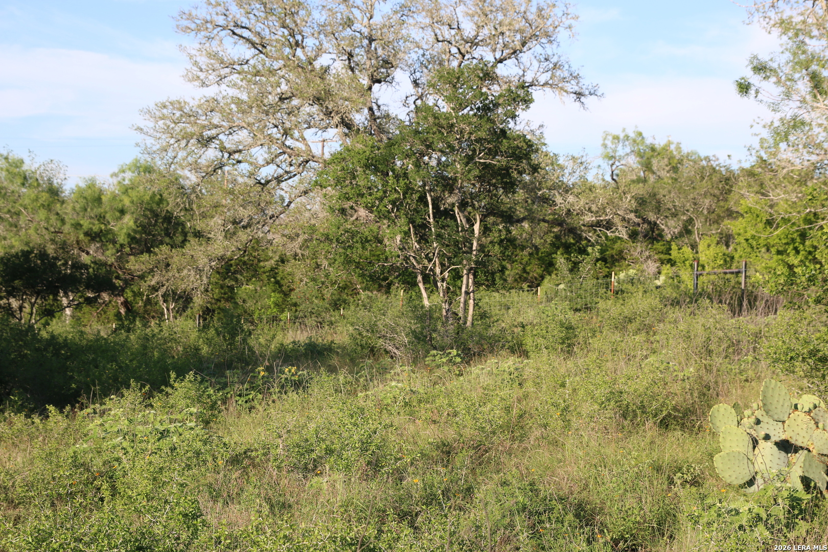 main property photo 10