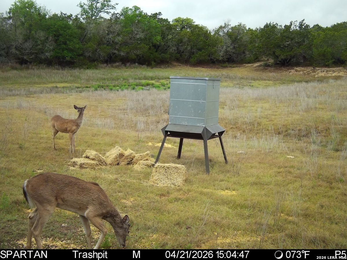 main property photo 37