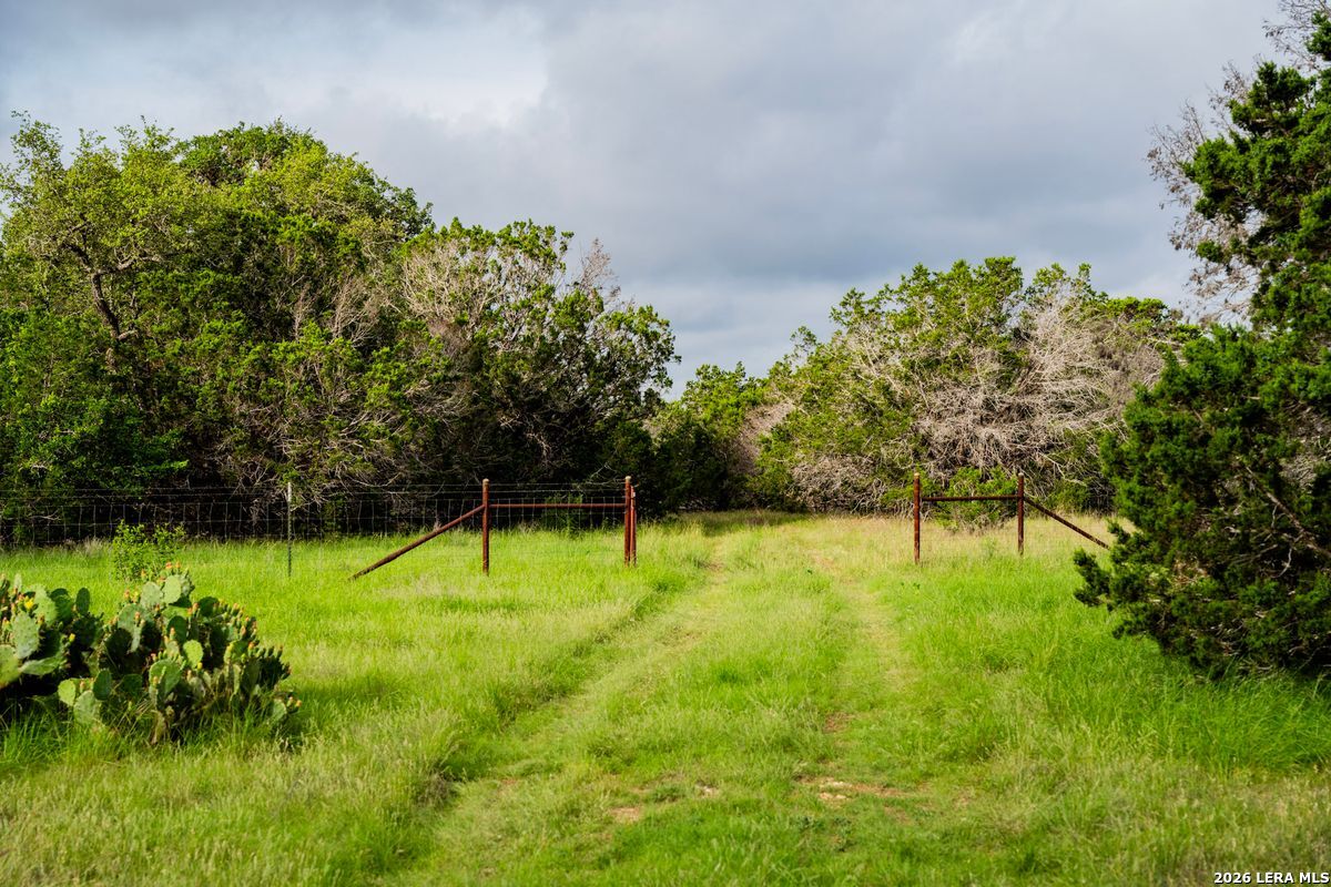 main property photo 41