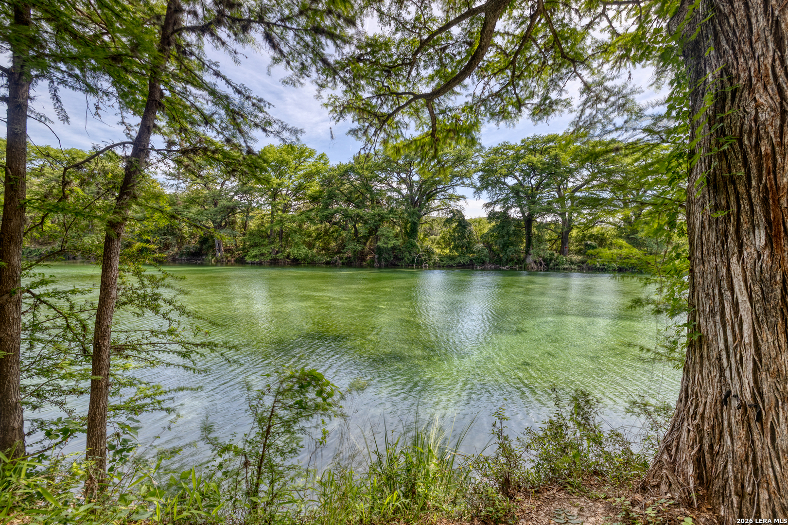 main property photo 58