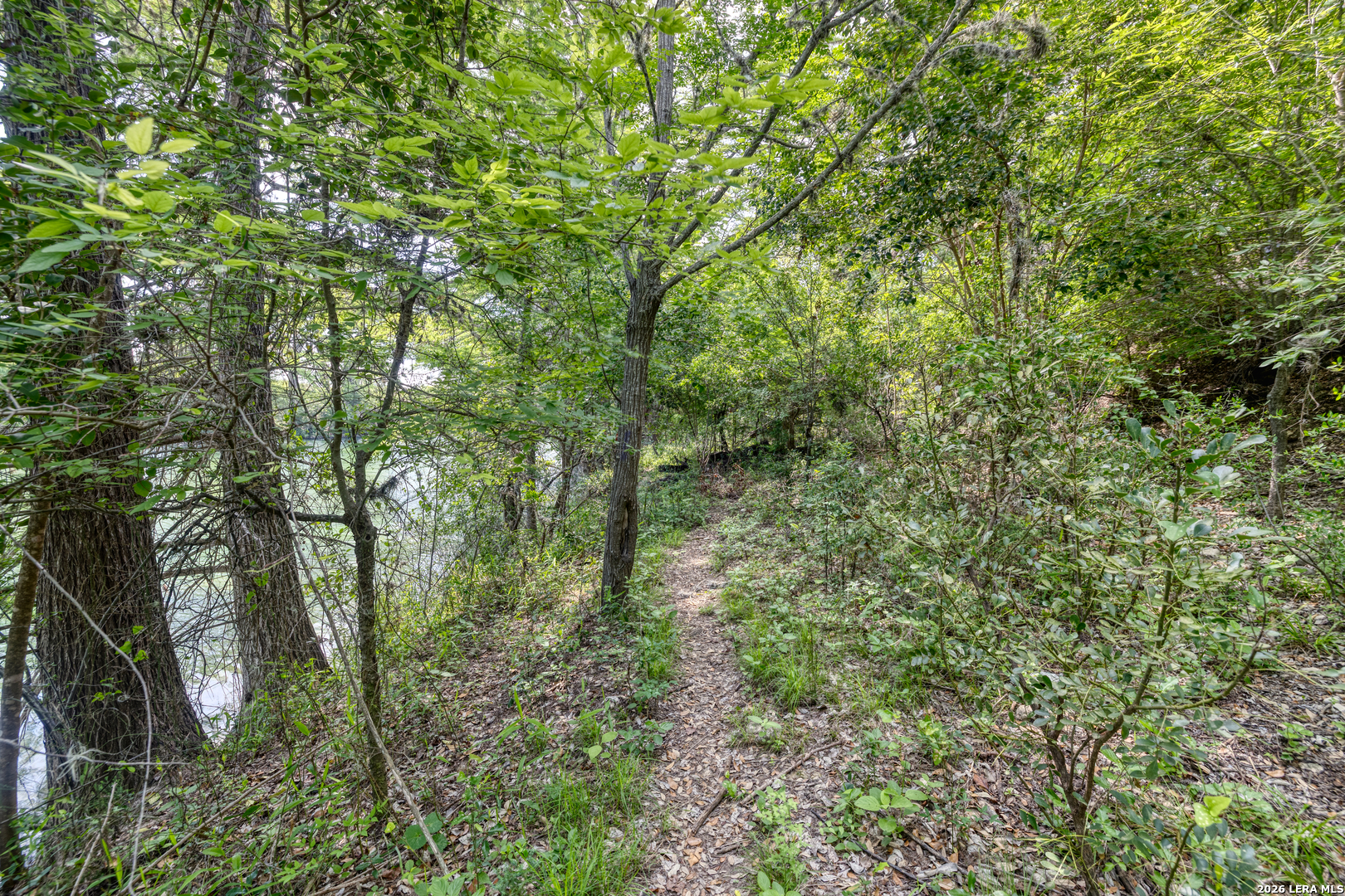 main property photo 59