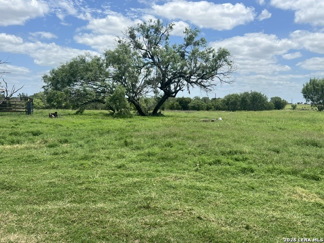 main property photo 13
