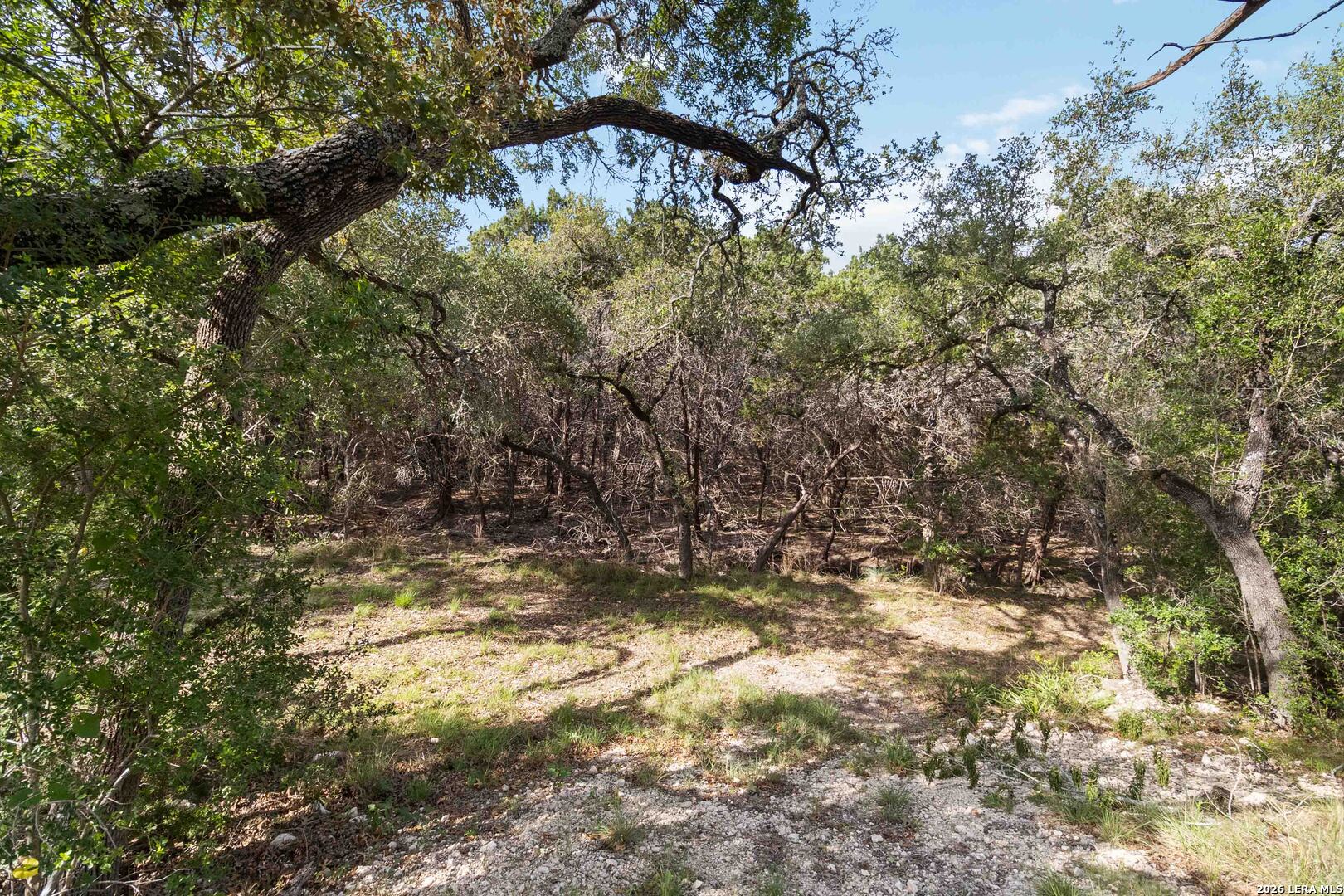 main property photo 50