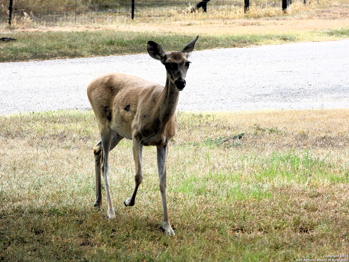 main property photo 45