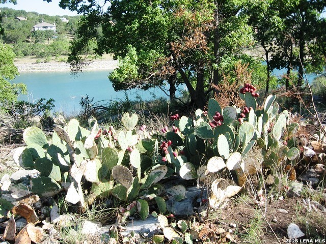 main property photo 39