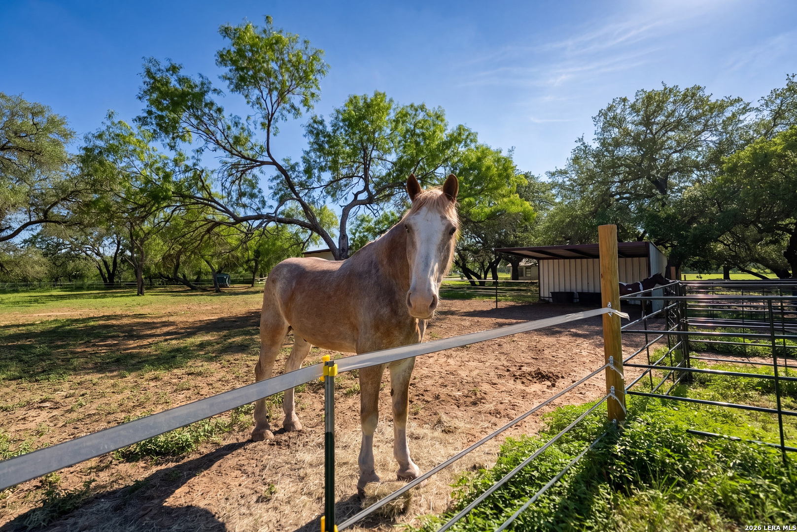 main property photo 41