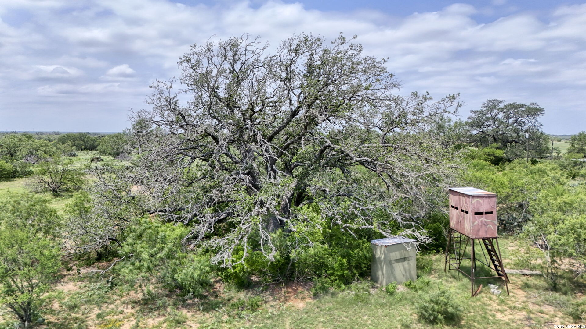 main property photo 46