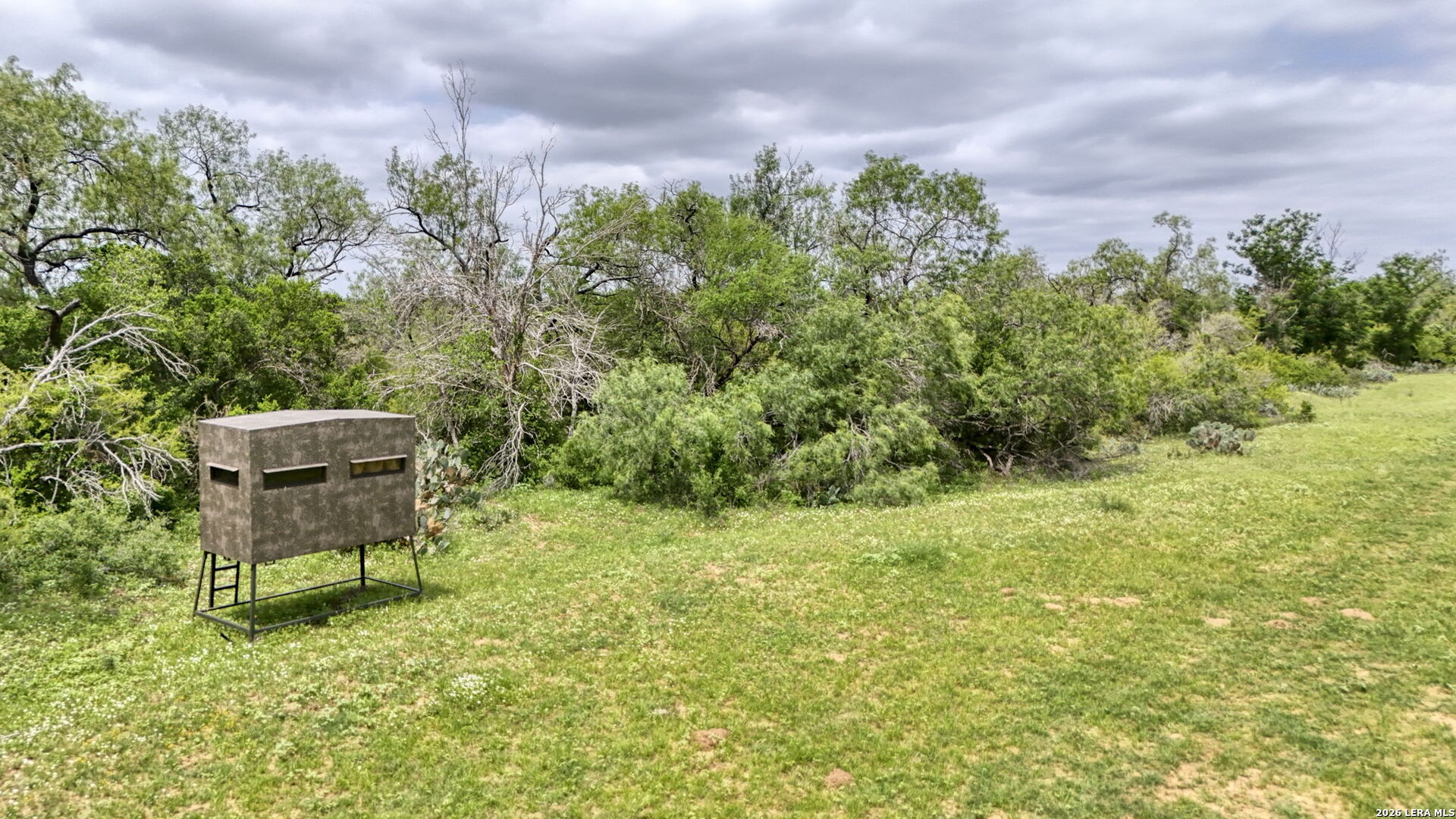 main property photo 65