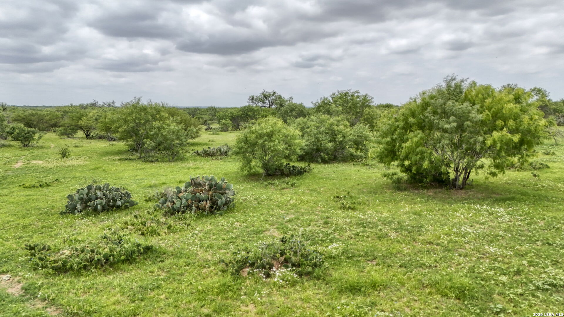 main property photo 71