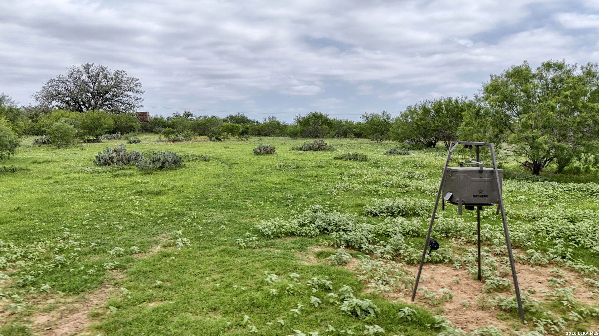 main property photo 81