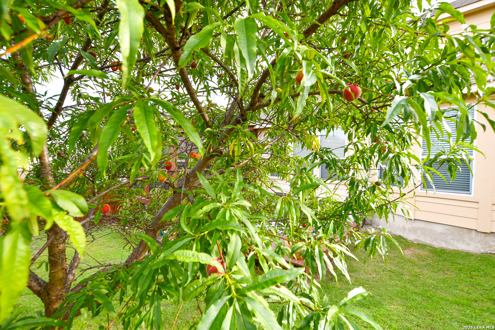 main property photo 39