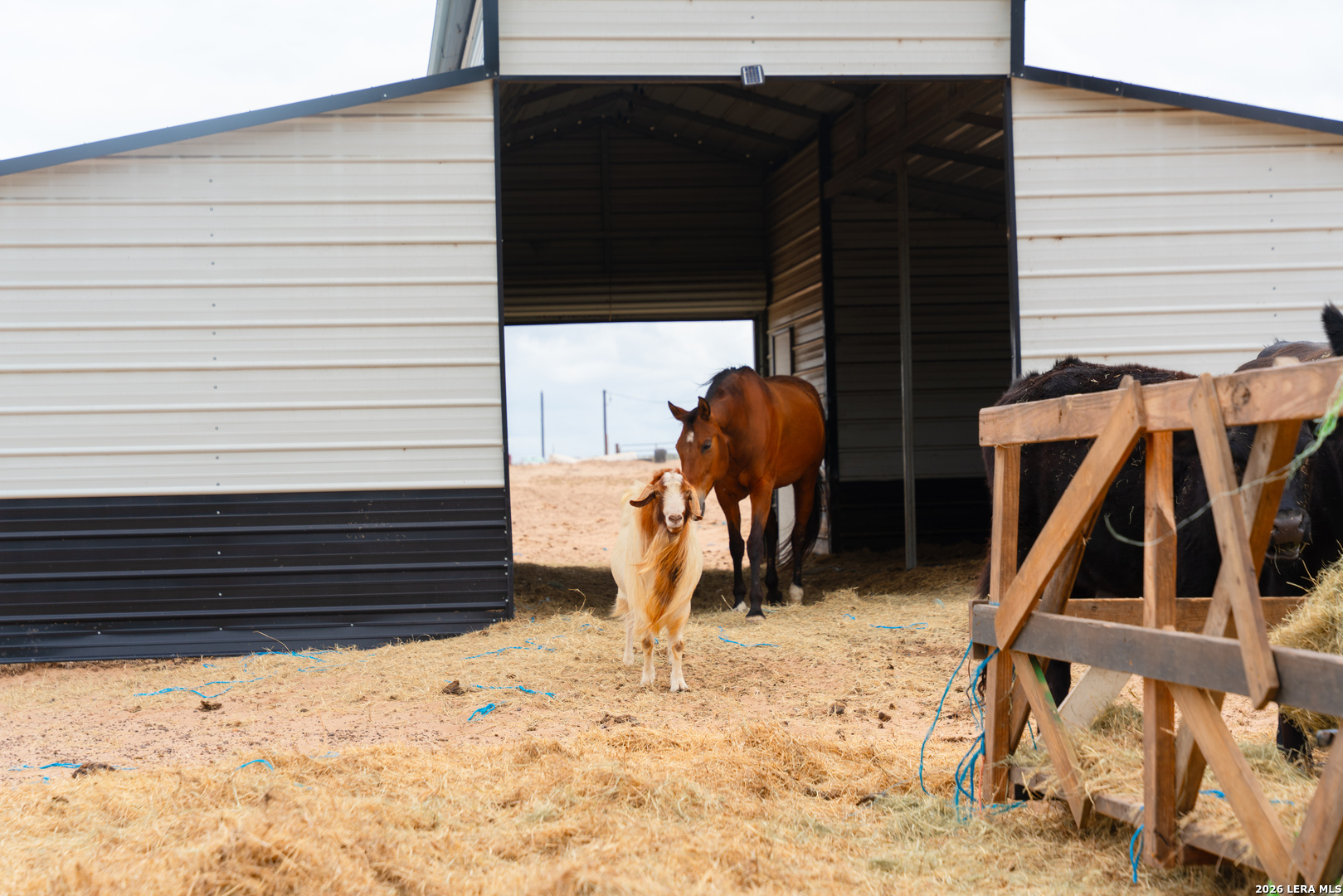 main property photo 41