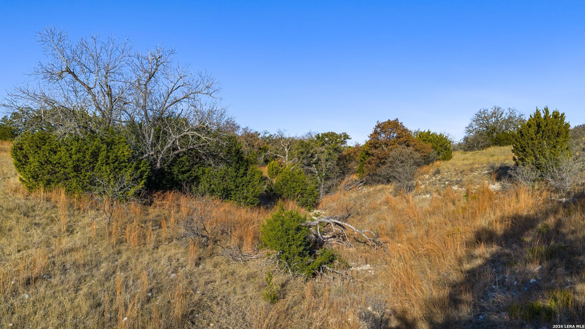 main property photo 61