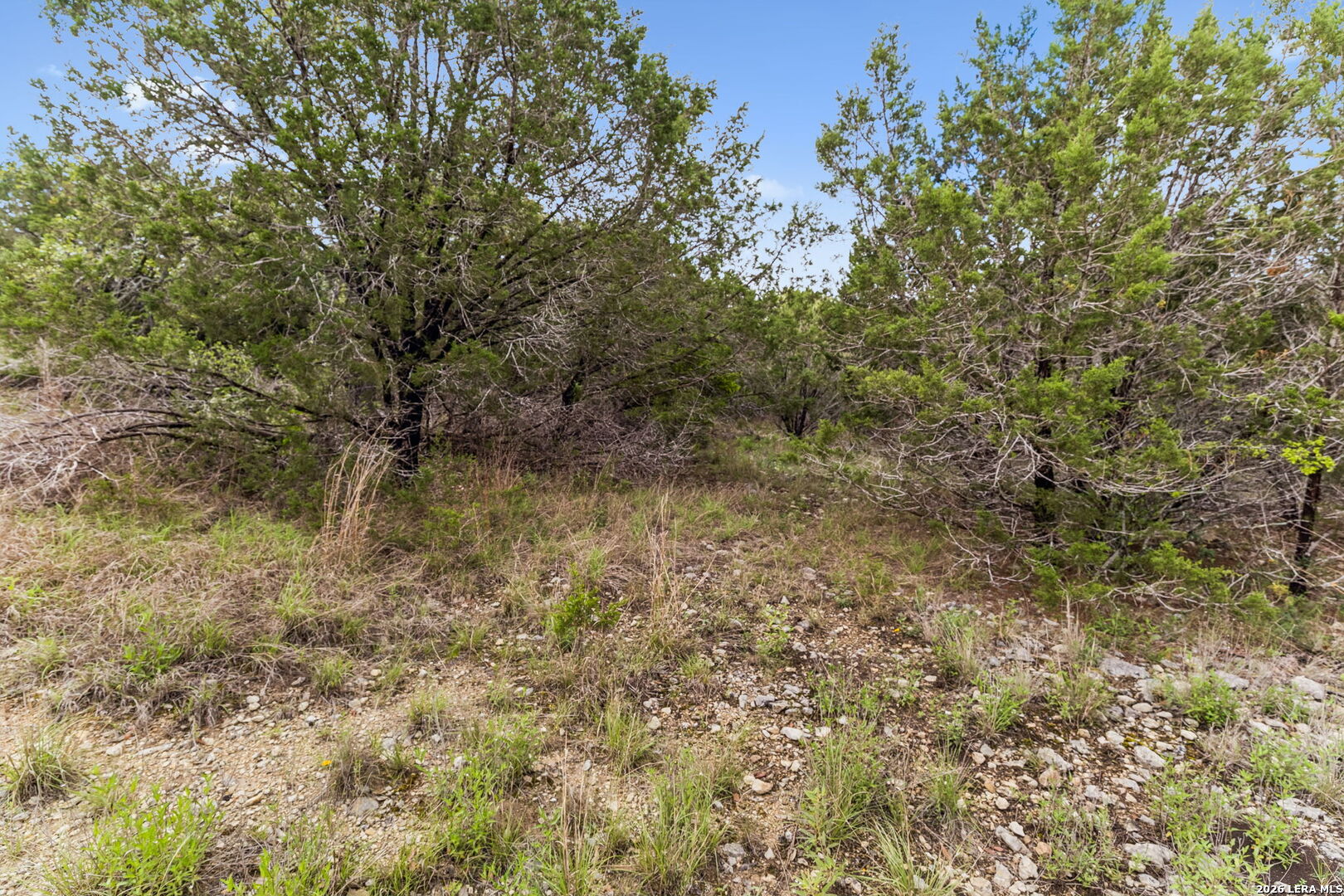 main property photo 11