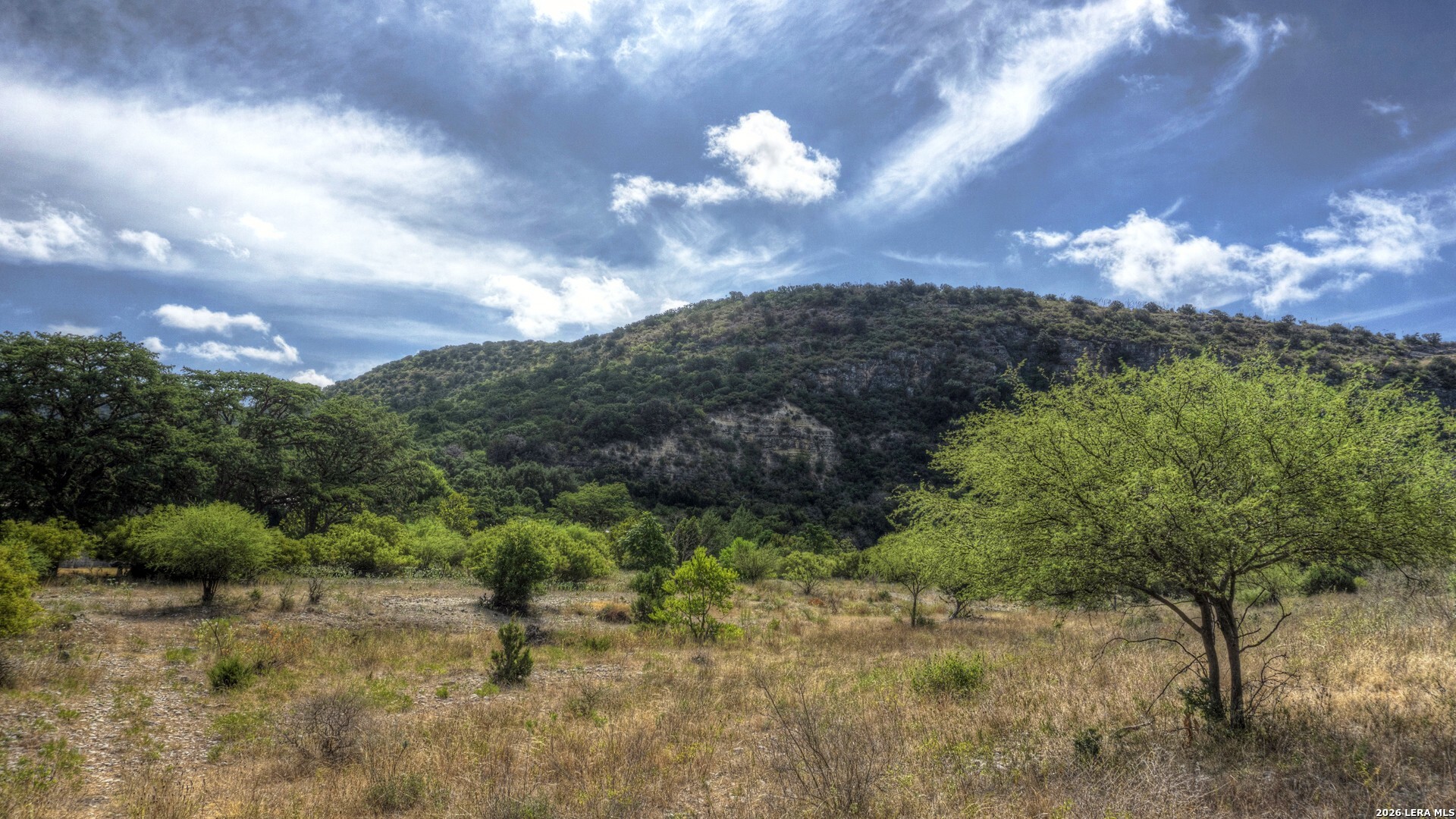 main property photo 53