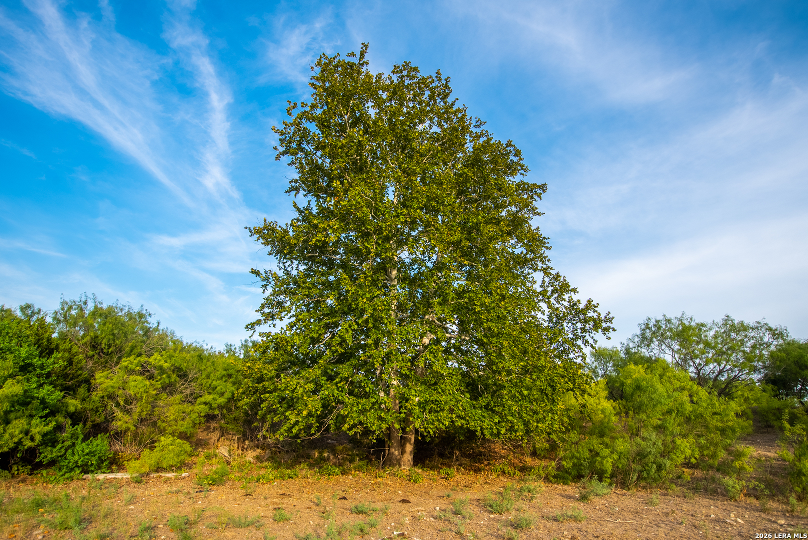 main property photo 46